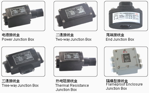 BHR81A防爆接线盒 